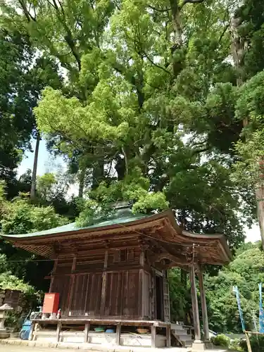 寺野薬師堂のその他建物