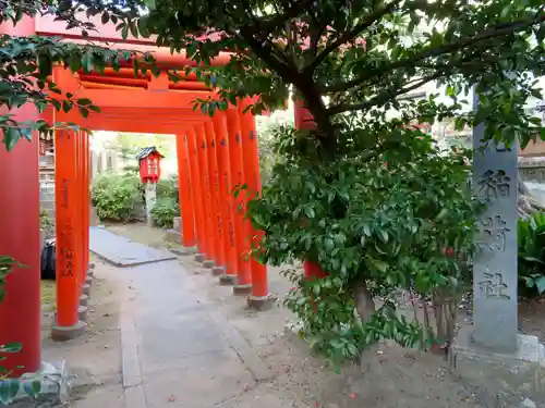 三輪神社の鳥居