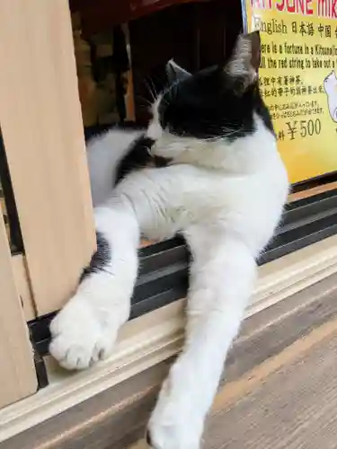荒木神社(京都府)