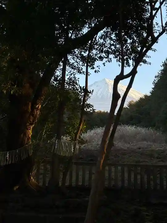 山宮浅間神社の{uncategorized: "未分類", other: "その他", undefined: "問題あり", building: "その他建物", grave: "お墓", sacred_gate: "鳥居", guardian: "狛犬", statue: "像", buddha: "仏像", history: "歴史", nature: "自然", garden: "庭園", animal: "動物", pagoda: "塔", temizu: "手水舎", mountain_gate: "山門・神門", sanctuary: "本殿・本堂", subordinate: "末社・摂社", art: "芸術", scenery: "景色", jizo: "地蔵", ema: "絵馬", goshuin: "御朱印", omikuji: "おみくじ", items: "授与品その他", amulet: "お守り", goshuincho: "御朱印帳", eats: "食事", festival: "お祭り", votive_dance: "神楽", shichigosan: "七五三参", wedding: "結婚式", experience: "体験その他", initially: "初詣", around: "周辺", anti_infection: "感染症対策"}