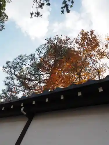 総持寺祖院の自然