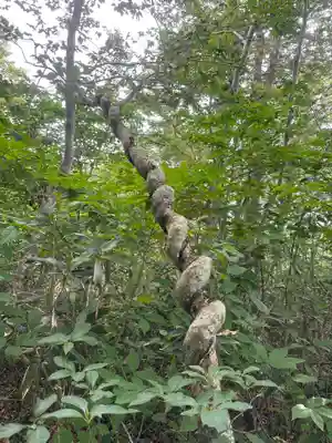 駒形神社奥宮(岩手県)