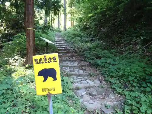 金峯神社の自然