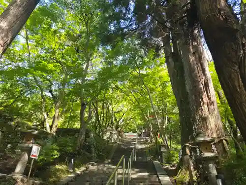 談山神社(奈良県)