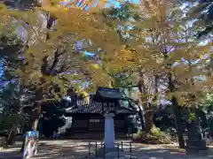 世田谷八幡宮(東京都)