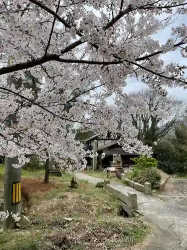 厳島神社(広島県)