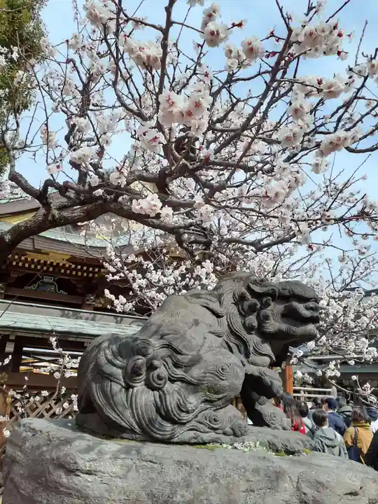 湯島天満宮の狛犬