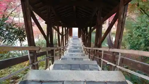 高台寺（高台寿聖禅寺・高臺寺）の{uncategorized: "未分類", other: "その他", undefined: "問題あり", building: "その他建物", grave: "お墓", sacred_gate: "鳥居", guardian: "狛犬", statue: "像", buddha: "仏像", history: "歴史", nature: "自然", garden: "庭園", animal: "動物", pagoda: "塔", temizu: "手水舎", mountain_gate: "山門・神門", sanctuary: "本殿・本堂", subordinate: "末社・摂社", art: "芸術", scenery: "景色", jizo: "地蔵", ema: "絵馬", goshuin: "御朱印", omikuji: "おみくじ", items: "授与品その他", amulet: "お守り", goshuincho: "御朱印帳", eats: "食事", festival: "お祭り", votive_dance: "神楽", shichigosan: "七五三参", wedding: "結婚式", experience: "体験その他", initially: "初詣", around: "周辺", anti_infection: "感染症対策"}