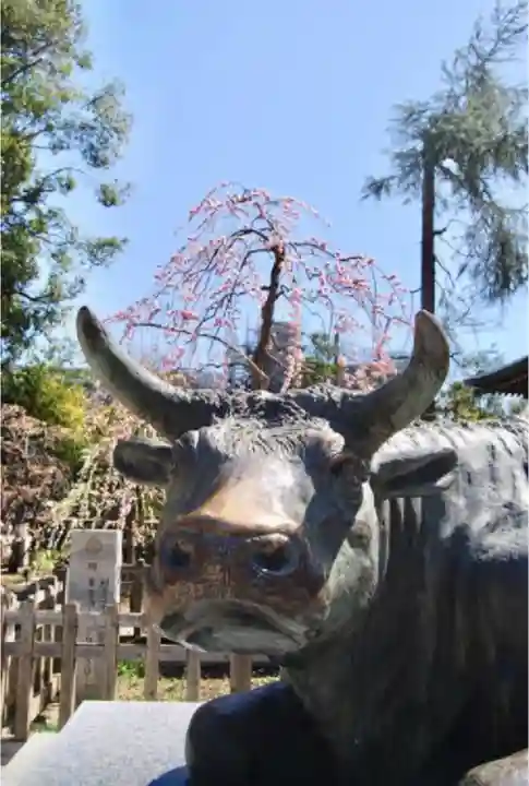 布多天神社の狛犬