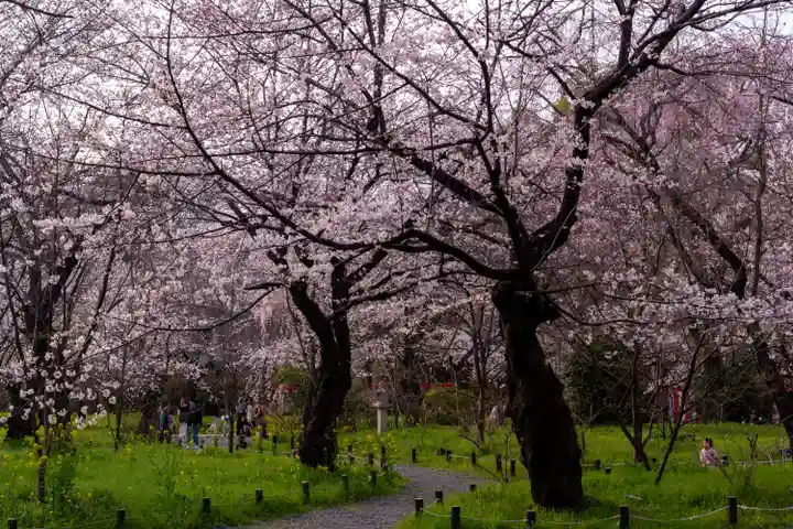 平野神社(京都府)