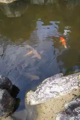 萬勝寺(飯高観音)(岐阜県)