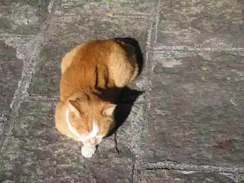 妙建山本立寺(東京都)