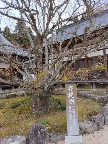 百済寺(滋賀県)