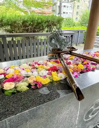 熊野神社(東京都)