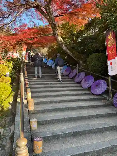 岡寺（龍蓋寺）(奈良県)