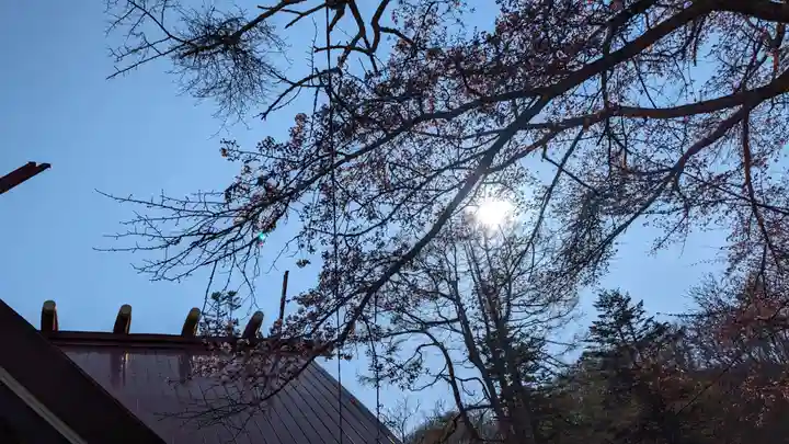 厚岸神社の自然