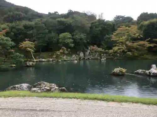 天龍寺の庭園