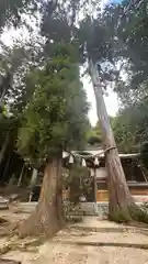 天王神社(滋賀県)