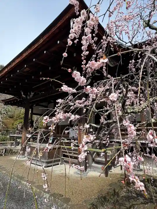 天龍寺(京都府)