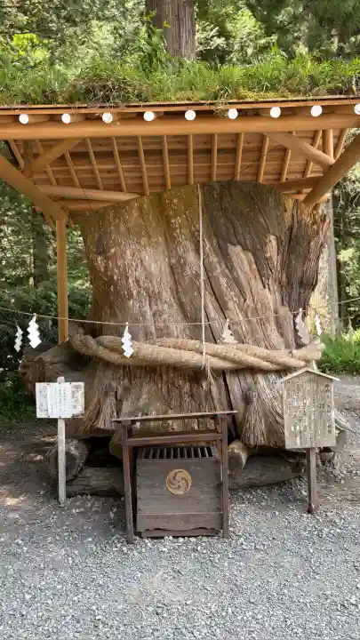 小國神社(静岡県)