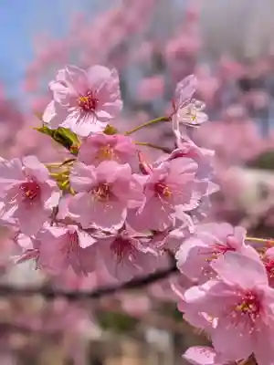 鳩森八幡神社(東京都)