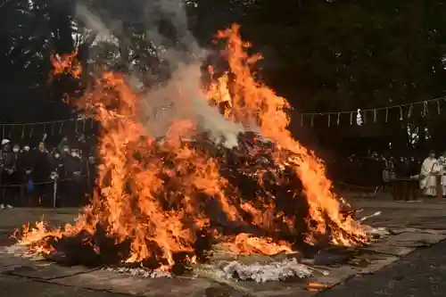 大宮八幡宮のお祭り