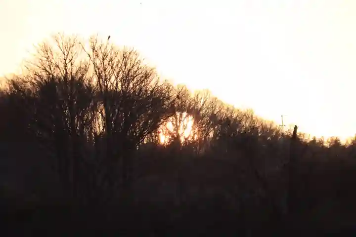 阿久津「田村神社」(郡山市阿久津町)旧社名:伊豆箱根三嶋三社の景色