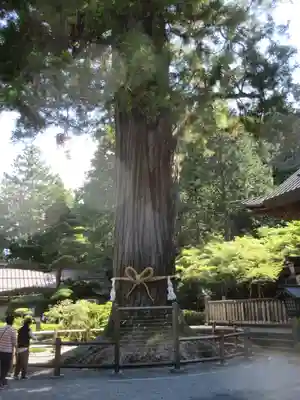 北口本宮冨士浅間神社のその他建物