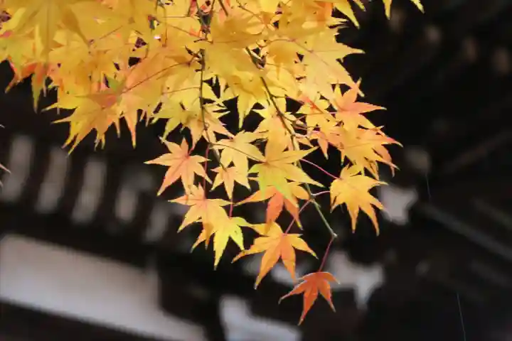 大報恩寺(千本釈迦堂)(京都府)