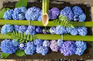 差出磯大嶽山神社 仕事と健康と厄よけの神さまの手水舎(2022年05月31日(火) 11時54分38秒投稿)