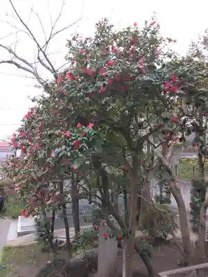 東光禅寺(神奈川県)