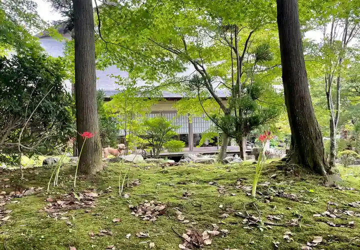 伊勢の国 四天王寺の自然