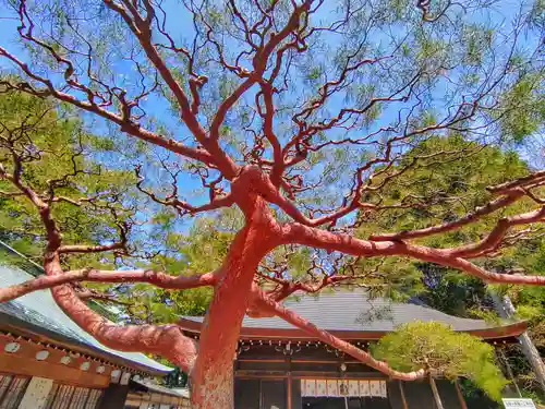 尾張冨士大宮浅間神社の自然