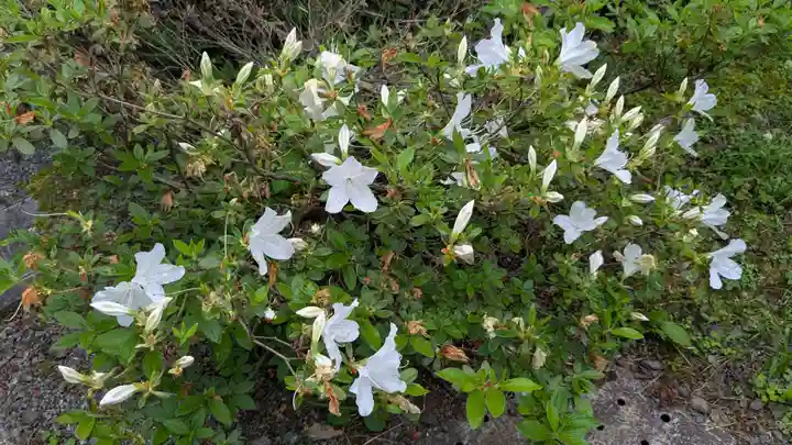 新得神社の自然