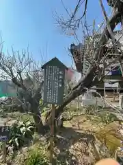 真福寺(奈良県)