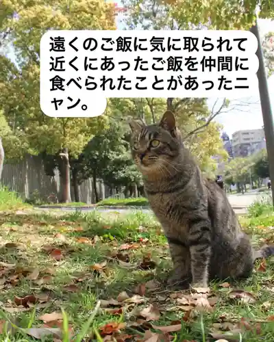 専念寺(大阪府)