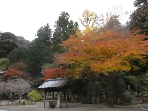 妙本寺の景色