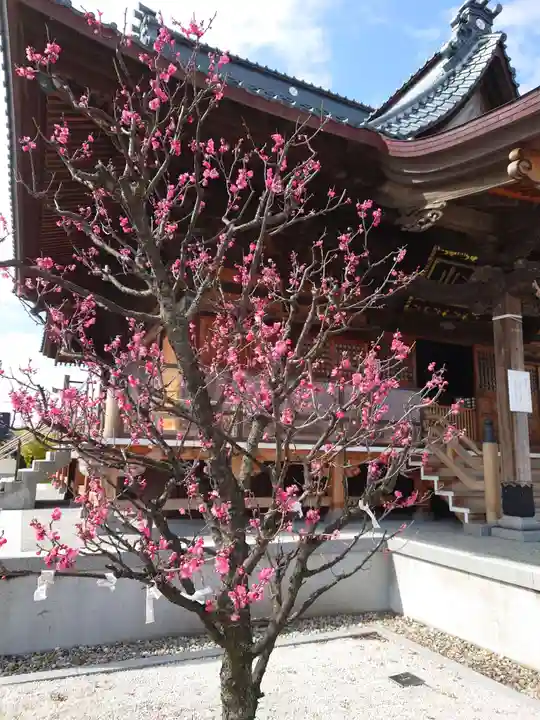 沼垂白山神社(新潟県)