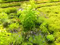 寿量山 速成寺の自然