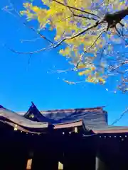 渋谷氷川神社(東京都)