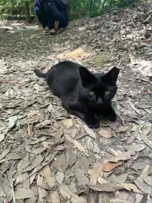 玉野御嶽神社(愛知県)