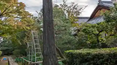 孤篷庵(京都府)