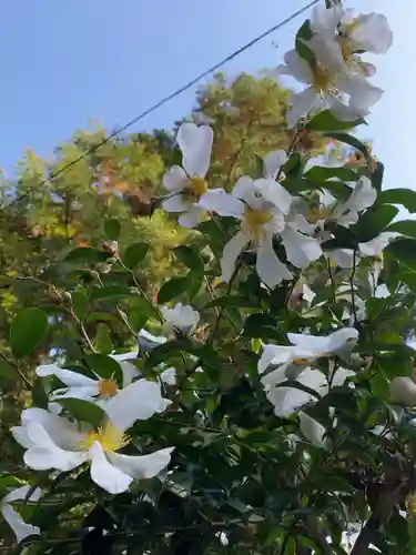 茶湯寺(神奈川県)