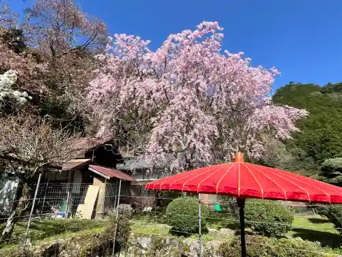 仏隆寺の{uncategorized: "未分類", other: "その他", undefined: "問題あり", building: "その他建物", grave: "お墓", sacred_gate: "鳥居", guardian: "狛犬", statue: "像", buddha: "仏像", history: "歴史", nature: "自然", garden: "庭園", animal: "動物", pagoda: "塔", temizu: "手水舎", mountain_gate: "山門・神門", sanctuary: "本殿・本堂", subordinate: "末社・摂社", art: "芸術", scenery: "景色", jizo: "地蔵", ema: "絵馬", goshuin: "御朱印", omikuji: "おみくじ", items: "授与品その他", amulet: "お守り", goshuincho: "御朱印帳", eats: "食事", festival: "お祭り", votive_dance: "神楽", shichigosan: "七五三参", wedding: "結婚式", experience: "体験その他", initially: "初詣", around: "周辺", anti_infection: "感染症対策"}