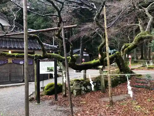 天日陰比咩神社(石川県)