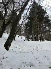 大神山神社奥宮の周辺