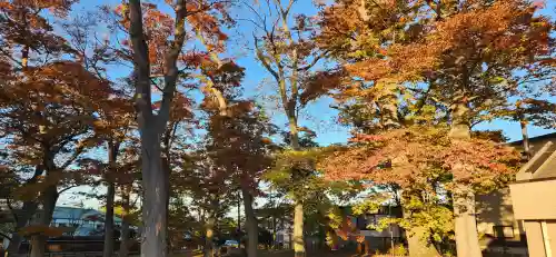 出羽国分寺薬師堂の周辺