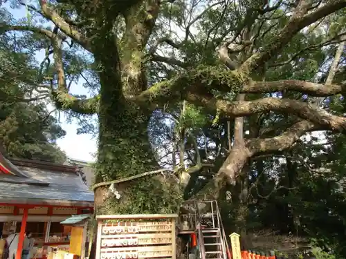 熊野那智大社(和歌山県)