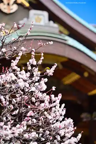 湯島天満宮(東京都)