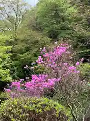 大山寺(神奈川県)